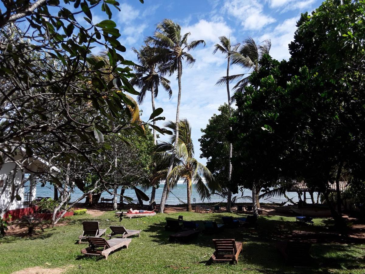 Palm Villa Mirissa Hotel&Spa Kültér fotó