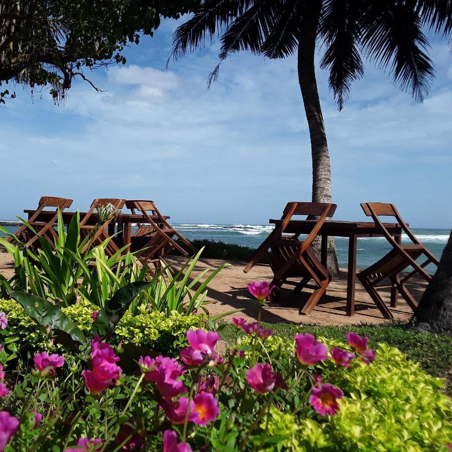 Palm Villa Mirissa Hotel&Spa Kültér fotó