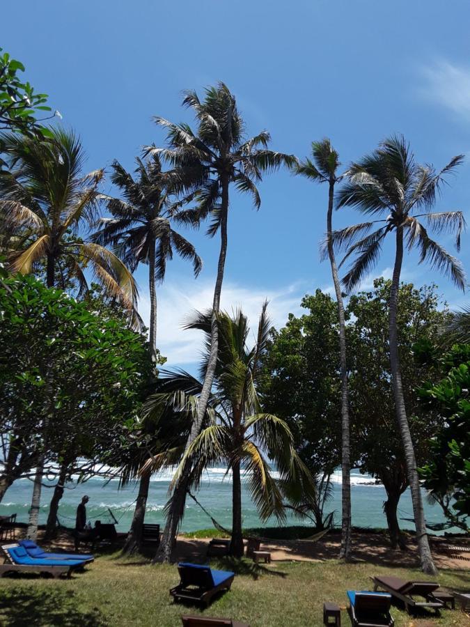 Palm Villa Mirissa Hotel&Spa Kültér fotó
