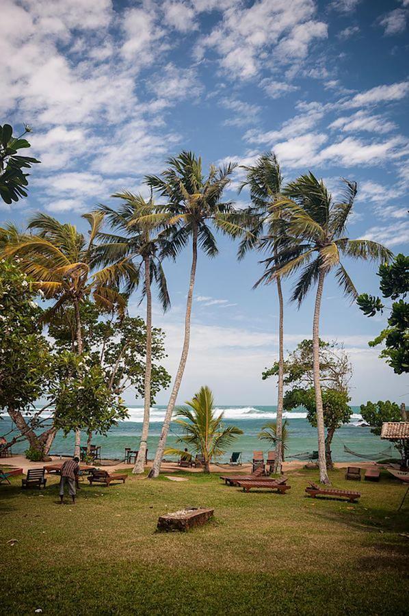 Palm Villa Mirissa Hotel&Spa Kültér fotó