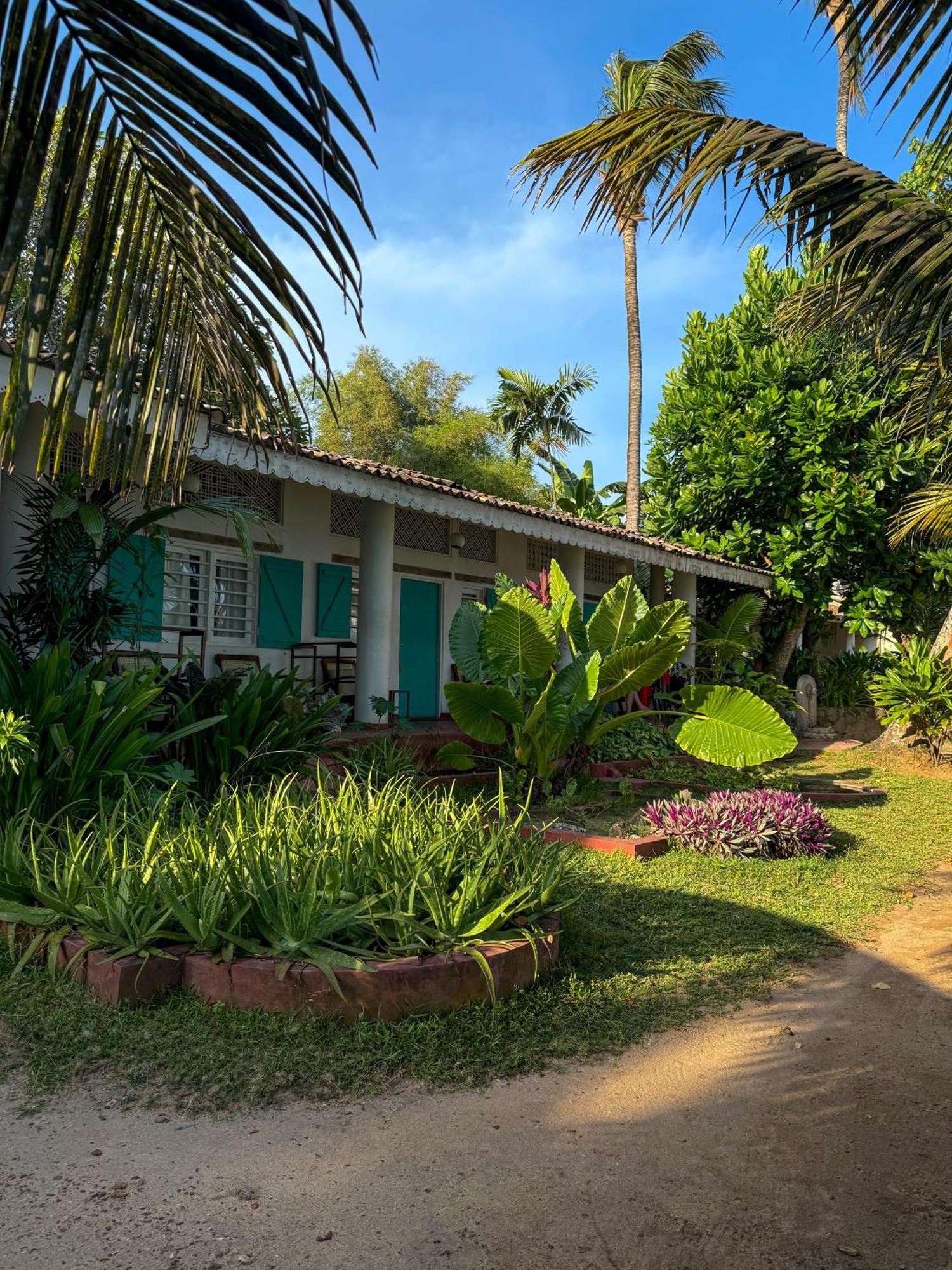 Palm Villa Mirissa Hotel&Spa Kültér fotó