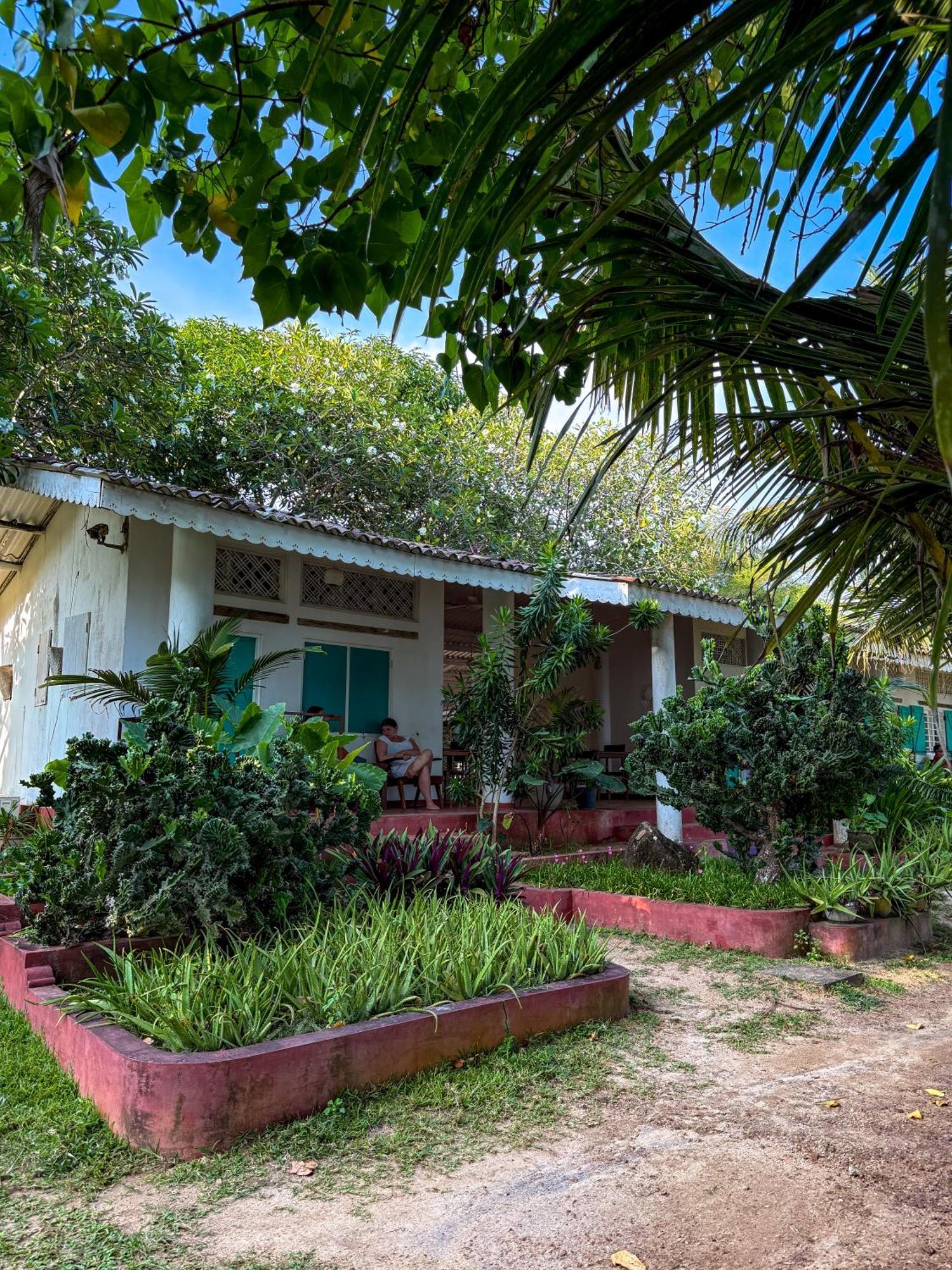 Palm Villa Mirissa Hotel&Spa Kültér fotó